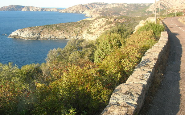 Küstenstrasse bei Calvi