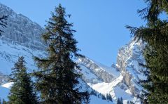 Viele Möglichkeiten - schnell zerfahren