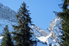 Viele Möglichkeiten - schnell zerfahren