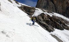 Dauphine_1_136_small
