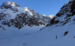 Dauphine_1_004_v1_small
