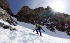 Dauphine_1_105_small
