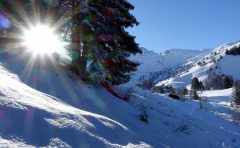 Neuschnee auf Nichts