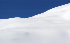 Südseitig allein