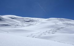Bis Mittags Pulver