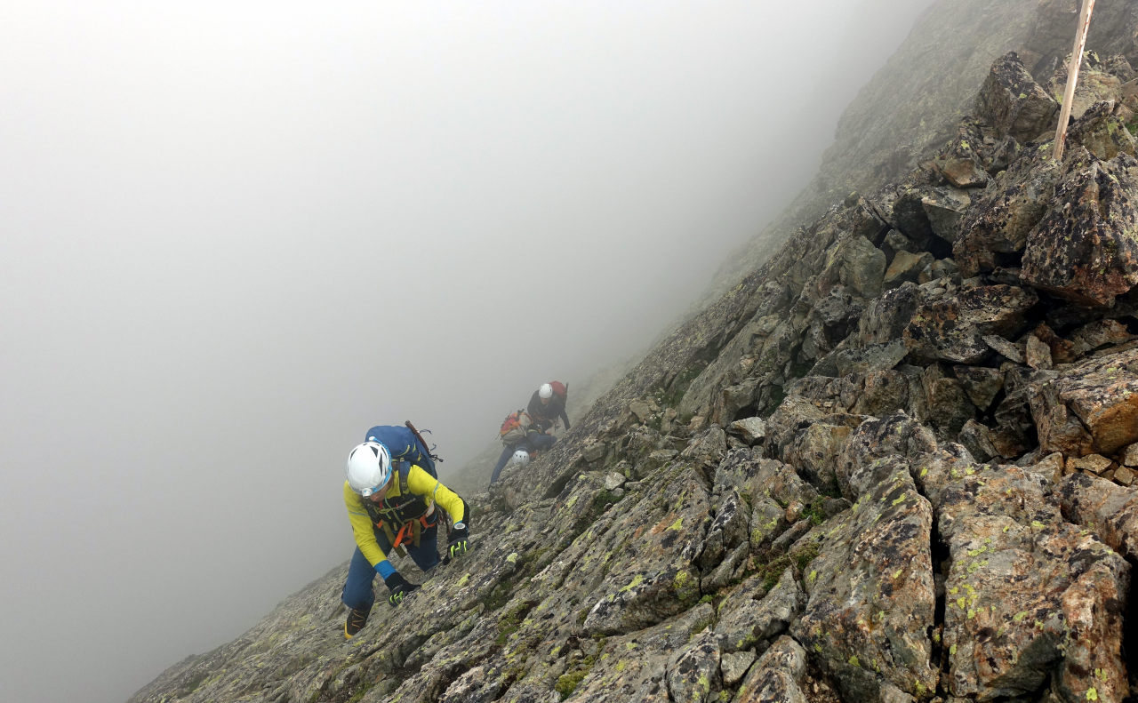 Im Nebel wenig ausgesetzt